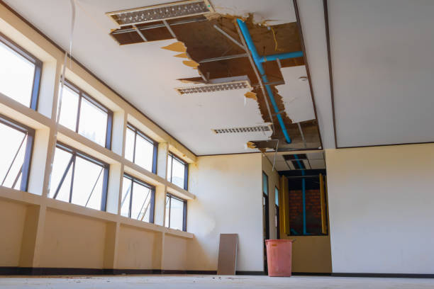 Best Flooded house restoration  in Napavine, WA