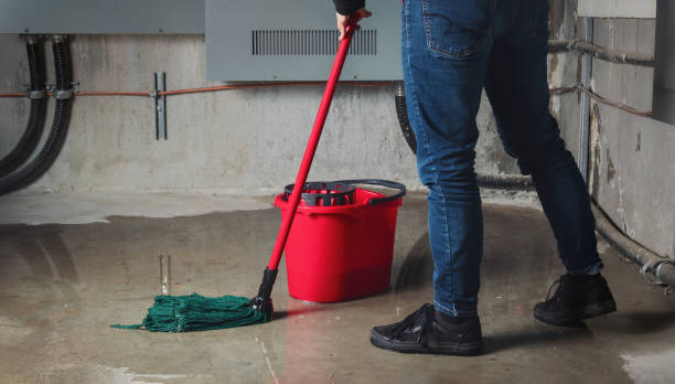 Best Water damage restoration insurance claims  in Napavine, WA