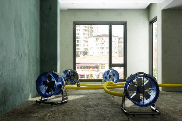 Best Basement water damage restoration  in Napavine, WA